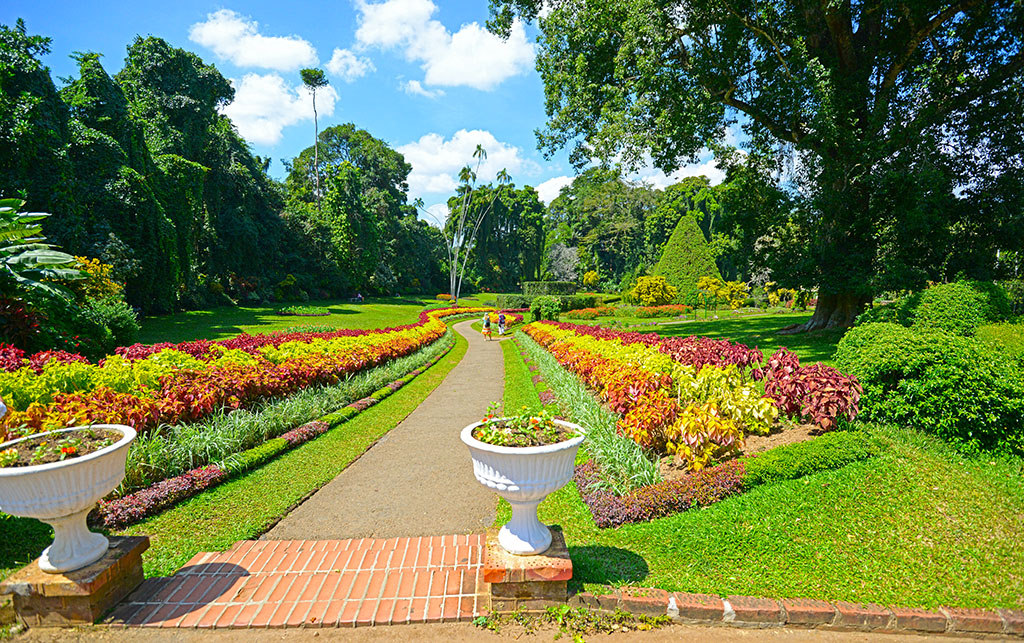 Kandy Day Tour - SIC | Pickmyjourneys.com