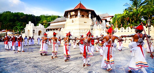 中国新年季节前往斯里兰卡 | Pickmyjourneys.com