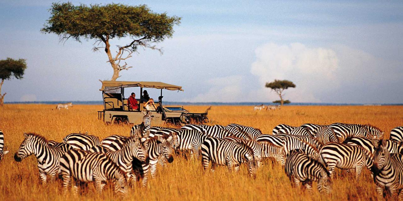 Kenya - Safari | Pickmyjourneys.com