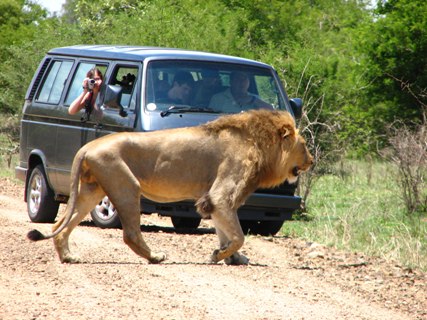 Kenya - Safari | Pickmyjourneys.com