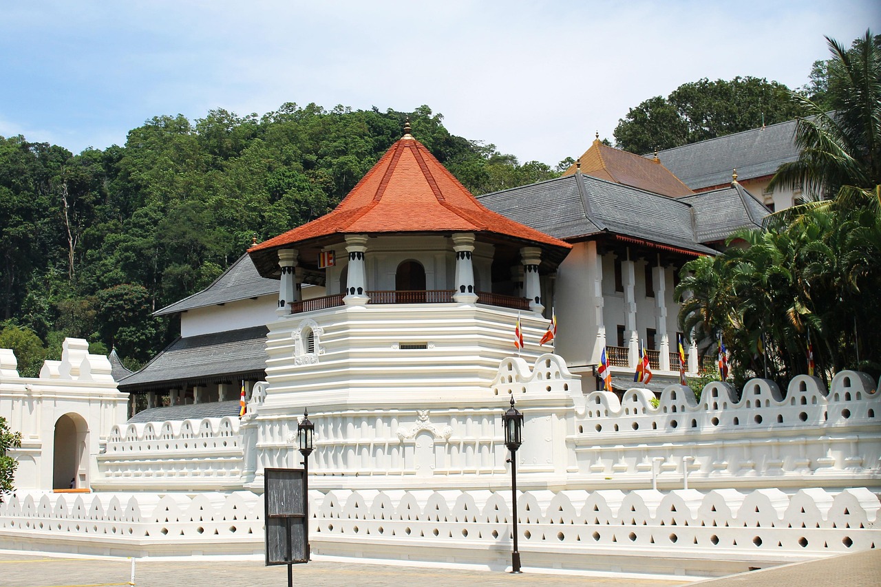 Tour Image 8